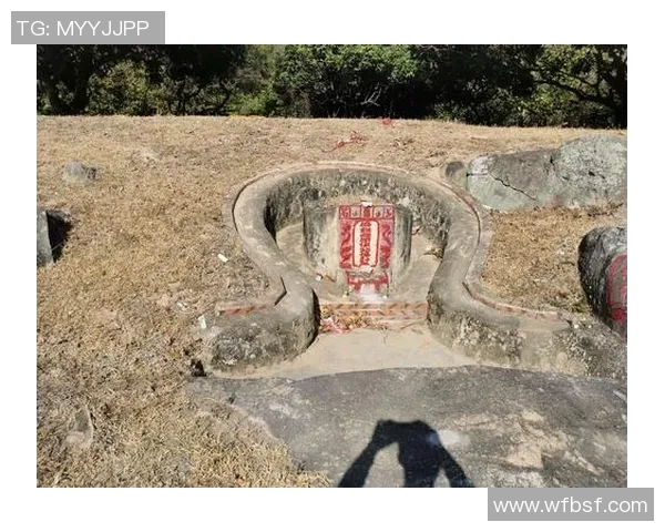 倪永康的政治生涯与影响力分析：从权力中心到历史评价的全面探讨